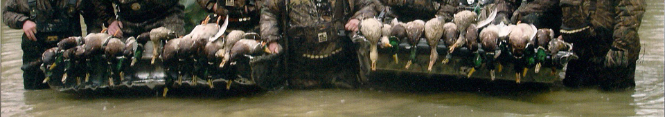 Greent Timber Duck Hunting